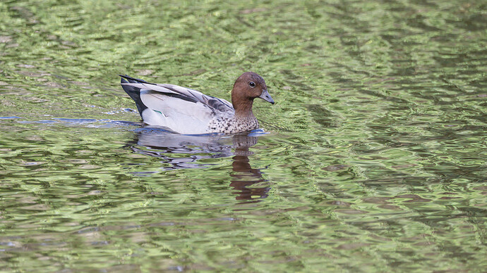 2026-01-09_16-08-26.63_DSC0893