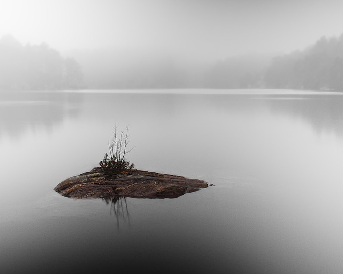 early.morning.fog.krt