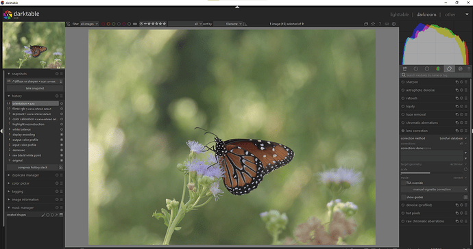Screenshot 2025-07-20 104022