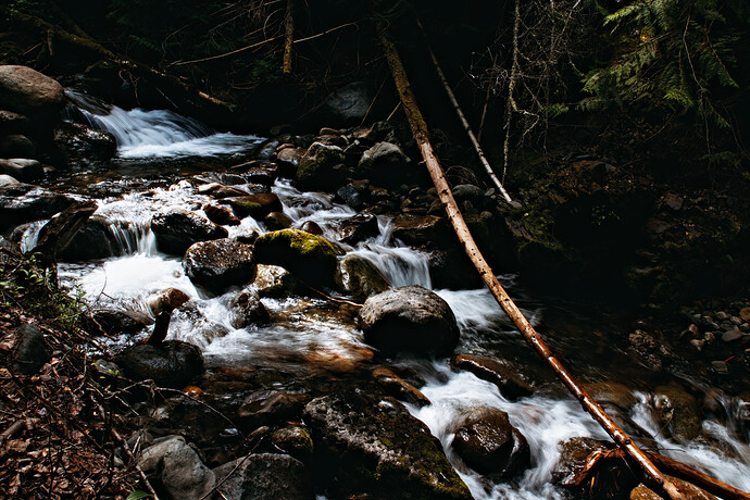_DSC6136-1