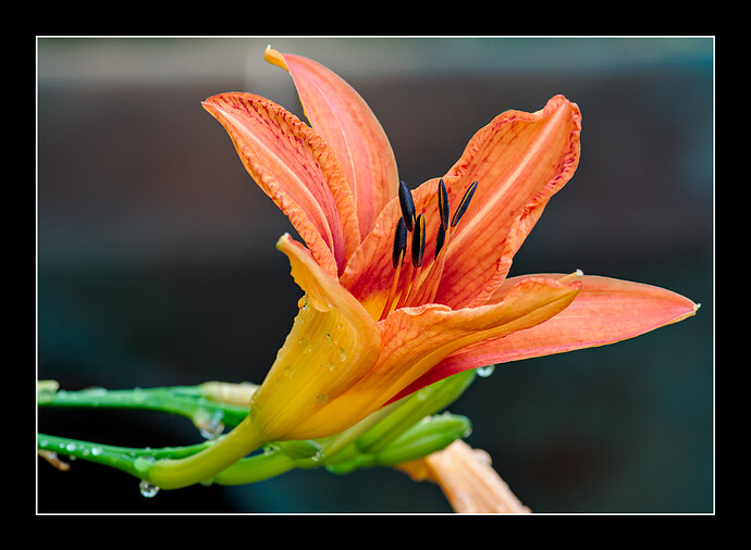 IMG_2875
