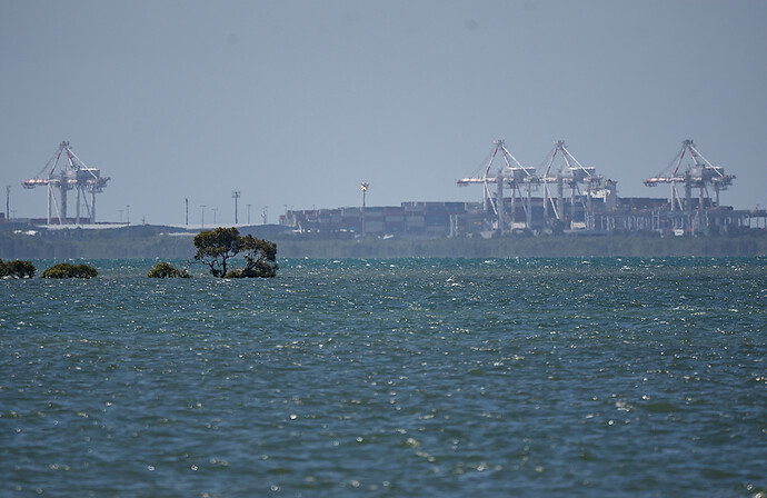 2026-01-09_14-44-54.91_DSC0491