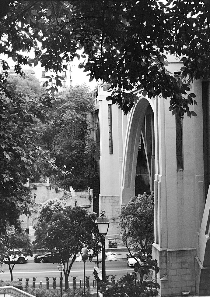 24-05-25_24-08-13_KodakUltraMax400_OlympusPenF_55 ART GIMP (1)