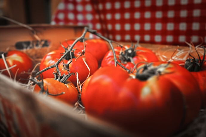 2022-08-07t15-40-50_1144_preview-3