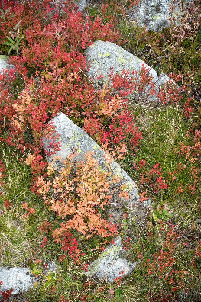 20250913_2025-09-13 nendaz_0091