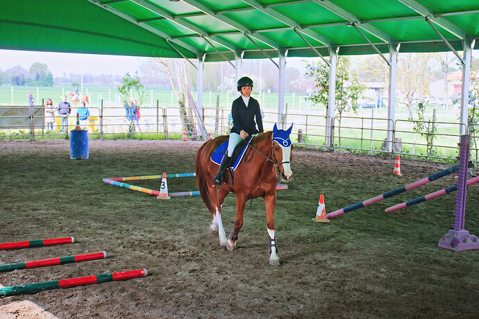 IMG_6624 Bitless_I_2023_1_