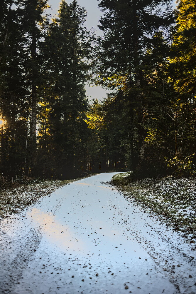 Winter Snow - D75_7908-2025.12.25