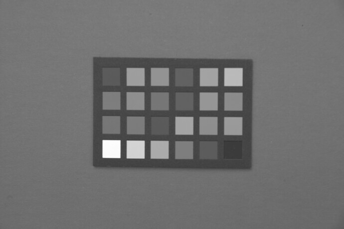 SDIM1101-RAW-B