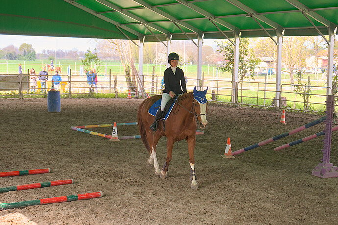 IMG_6624 Bitless_I_2023_1