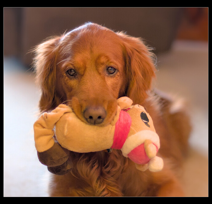 2015-01-22 093429-01