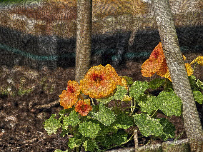 P1010641