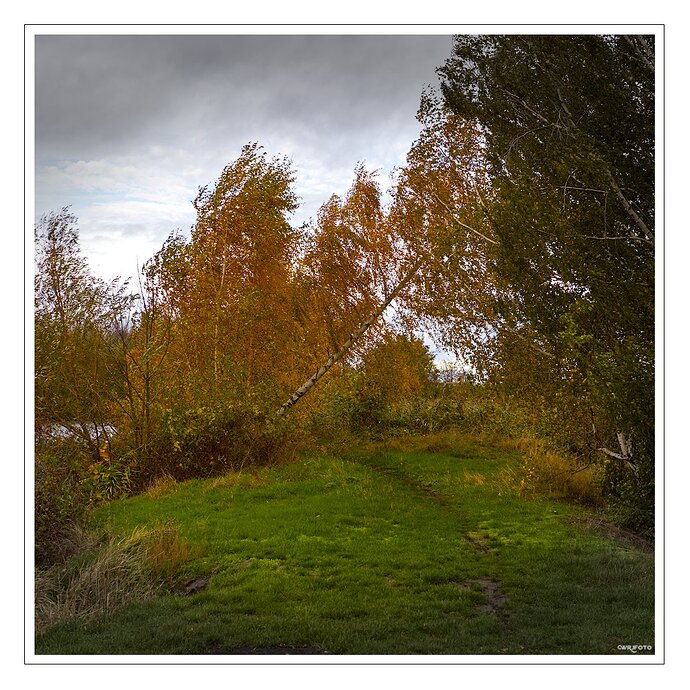 2011_Herbstwanderung_1_0029_02
