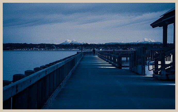 Boardwalk_TB_Cyanotype_2024-12-29