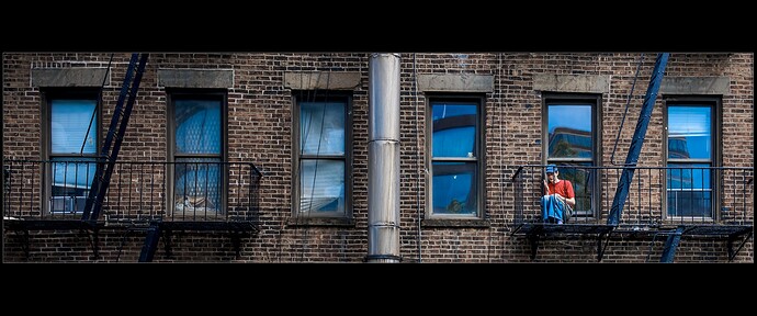 NZF_6199