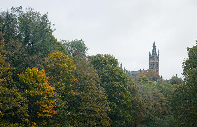 20251010_095131__DSF3661