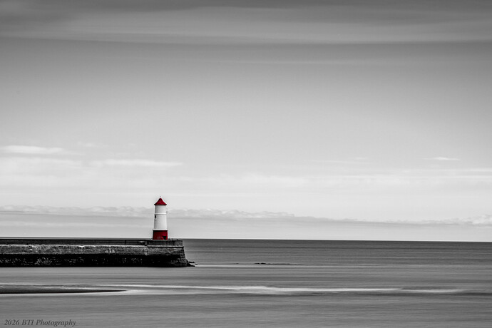 IMG_8083-copyright