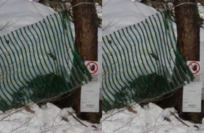 DSC_2161_AMAZE_ARTvRT_NoSharpen