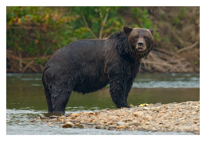 2025-09-04_12-00-10_2_PlayRAW