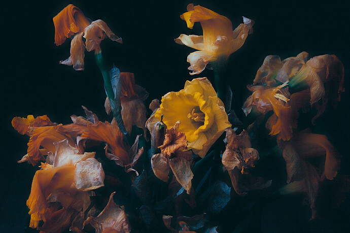 26-03-26 _MG_9285