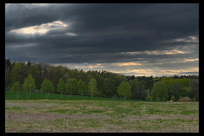 Artifacts in the treetops_P1030537