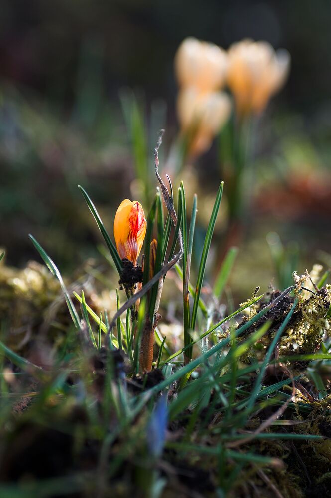 260228_162705_DSC08864