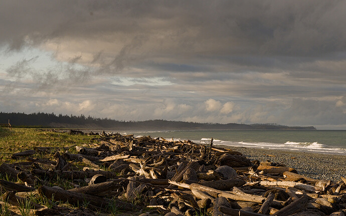 20250505-224452-4115-_DSF5065_RPF