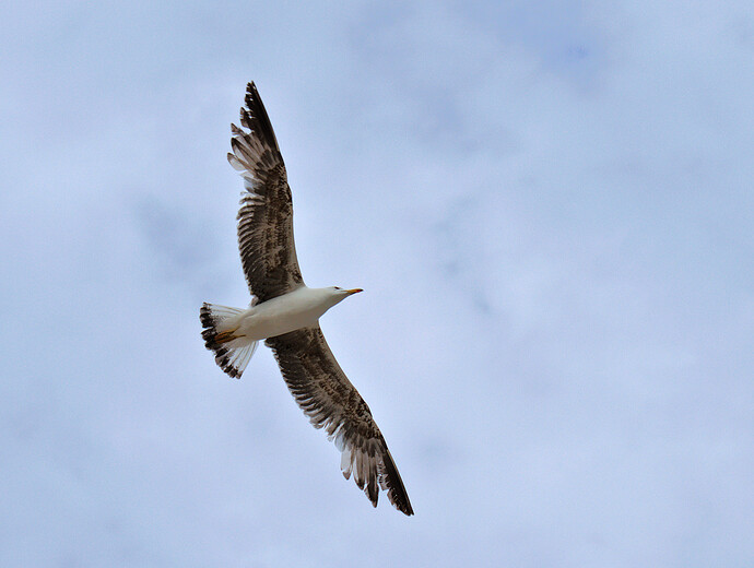 20220602_184226_2029_1