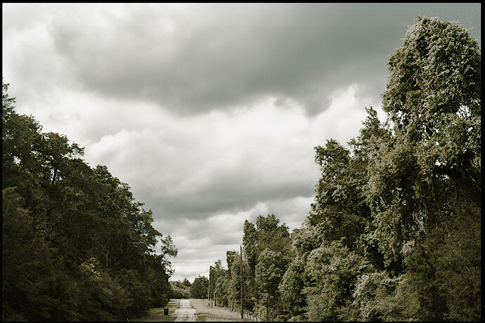 SDIM0790