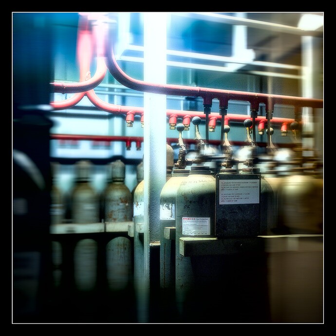 251115_143202_DSC05895