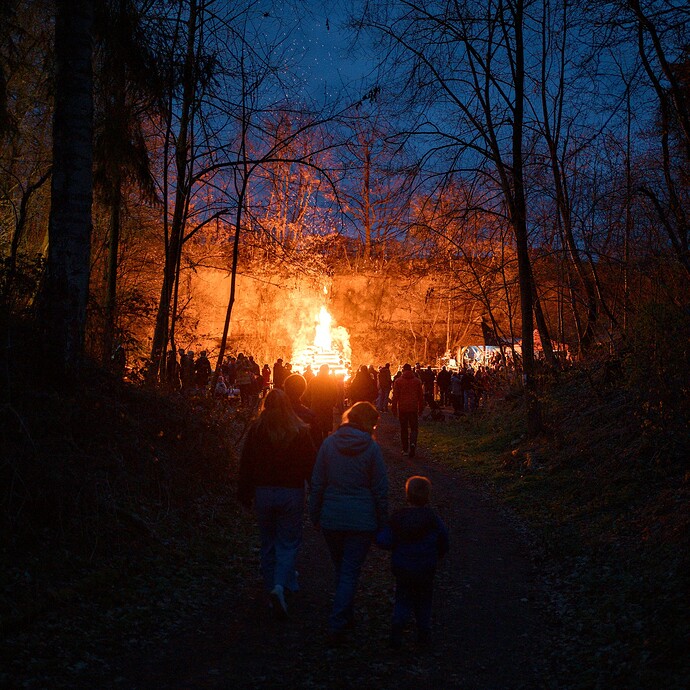 260404_202536_DSC09408_02