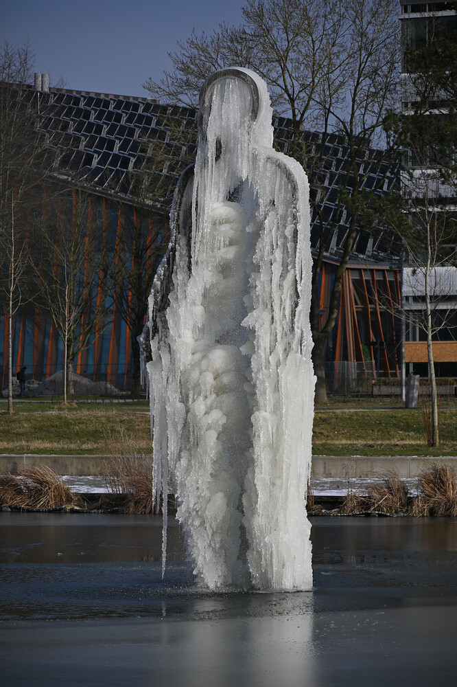 20260203-124824-DSC_3320.JPG