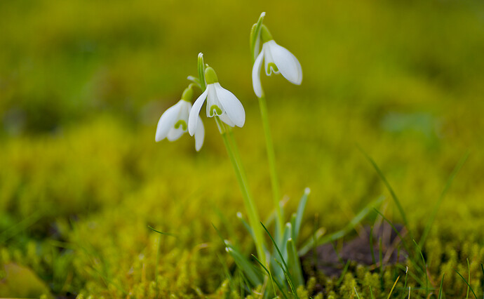 260224_130222_DSC08740