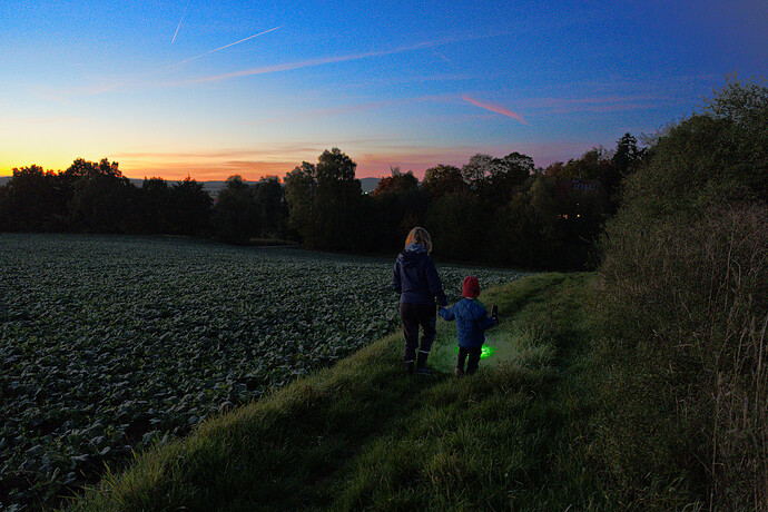 251013_190715_DSC05225_1