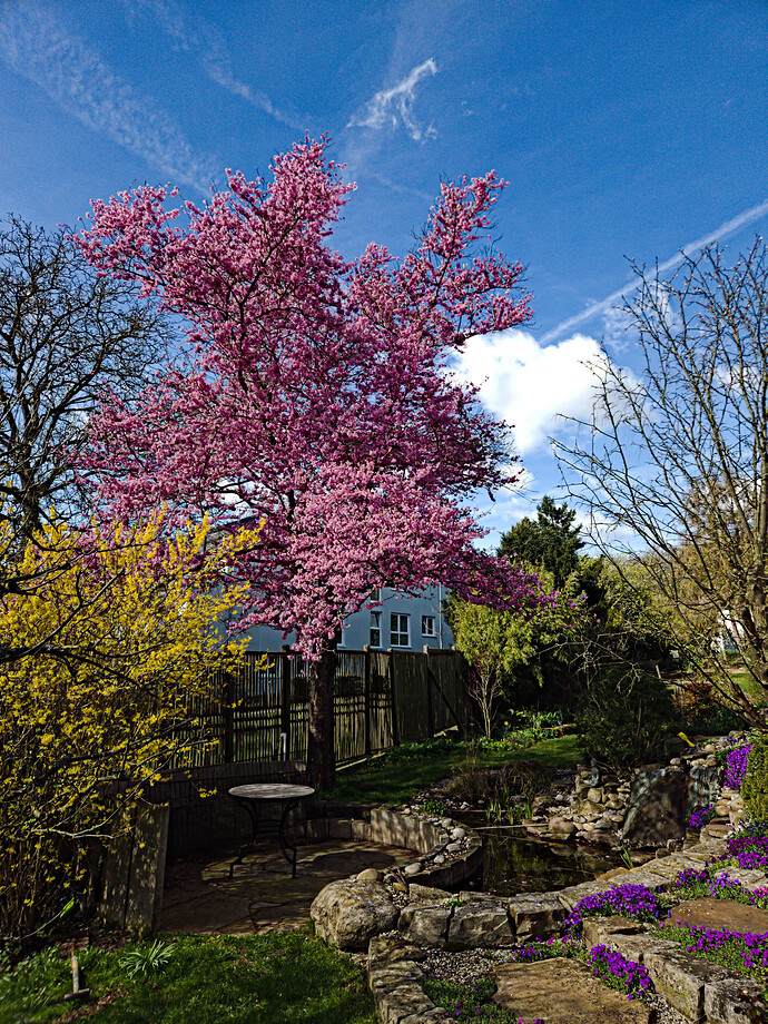 260406_111909_P06_ART GIMP and G`MIC (jpegli)