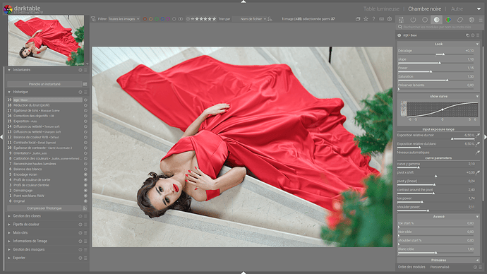 Portrait dame en rouge