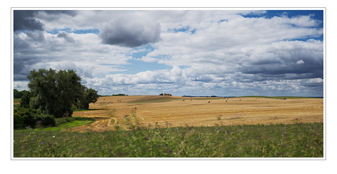 DSCF111514_01