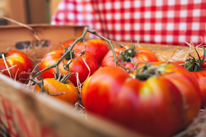 2022-08-07t15-40-50_1144