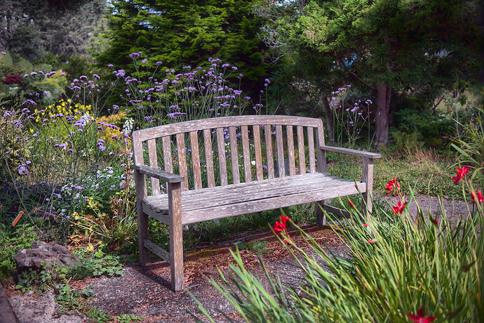 DSCF1987 ART and GIMP (jpegli)