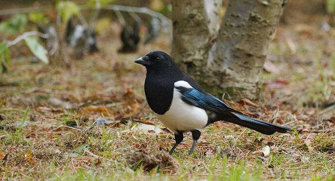 20251010_151321_DSCF0764