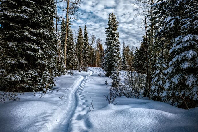 2020-02-25_10-40-25_02