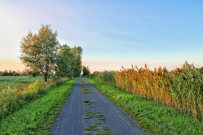 color2alpha_invert_repeat