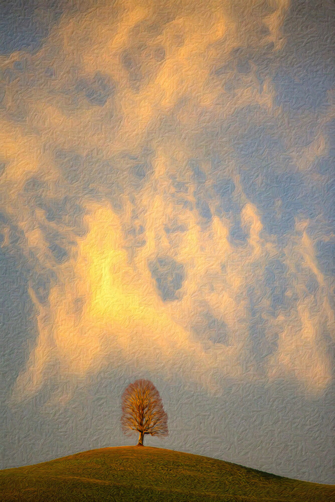 DSC_2111-GIMP_LAB and GMIC Artistic  Brushify