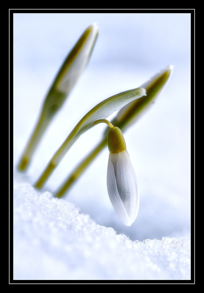 260216_132312_DSC08577