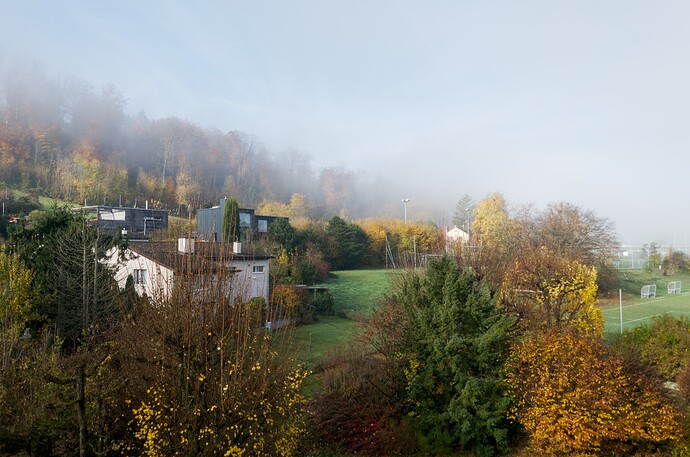 2025-11-05-10-18-00-DSC_0581