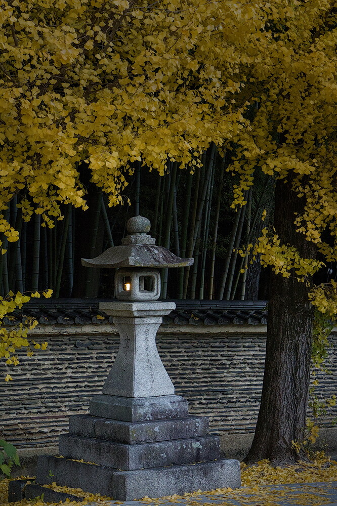 IMG_2025-11-28_16-45_0052