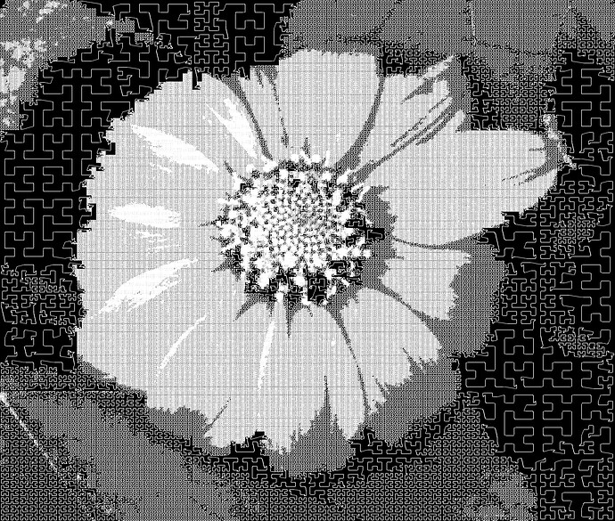 Tithonia_vdh