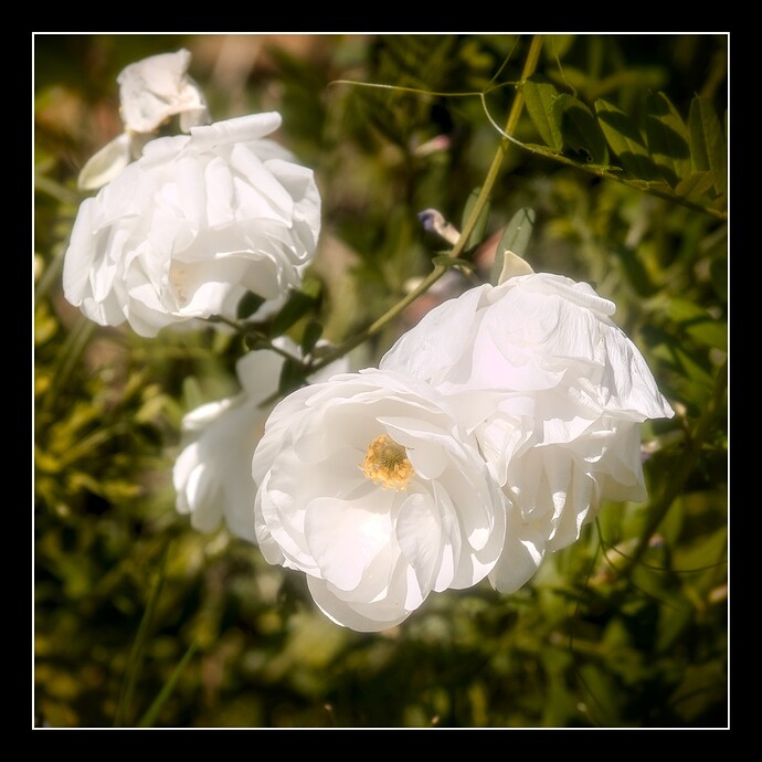P1010645