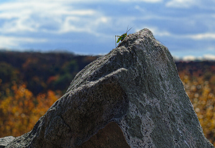 conquering_Mt_Everest
