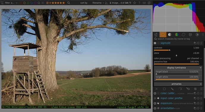 210329-T10X5333-targetwhite130
