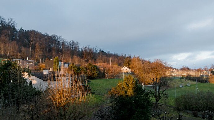 2025-12-25-08-45-05-DSC_0589